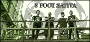 8 Foot Sativa