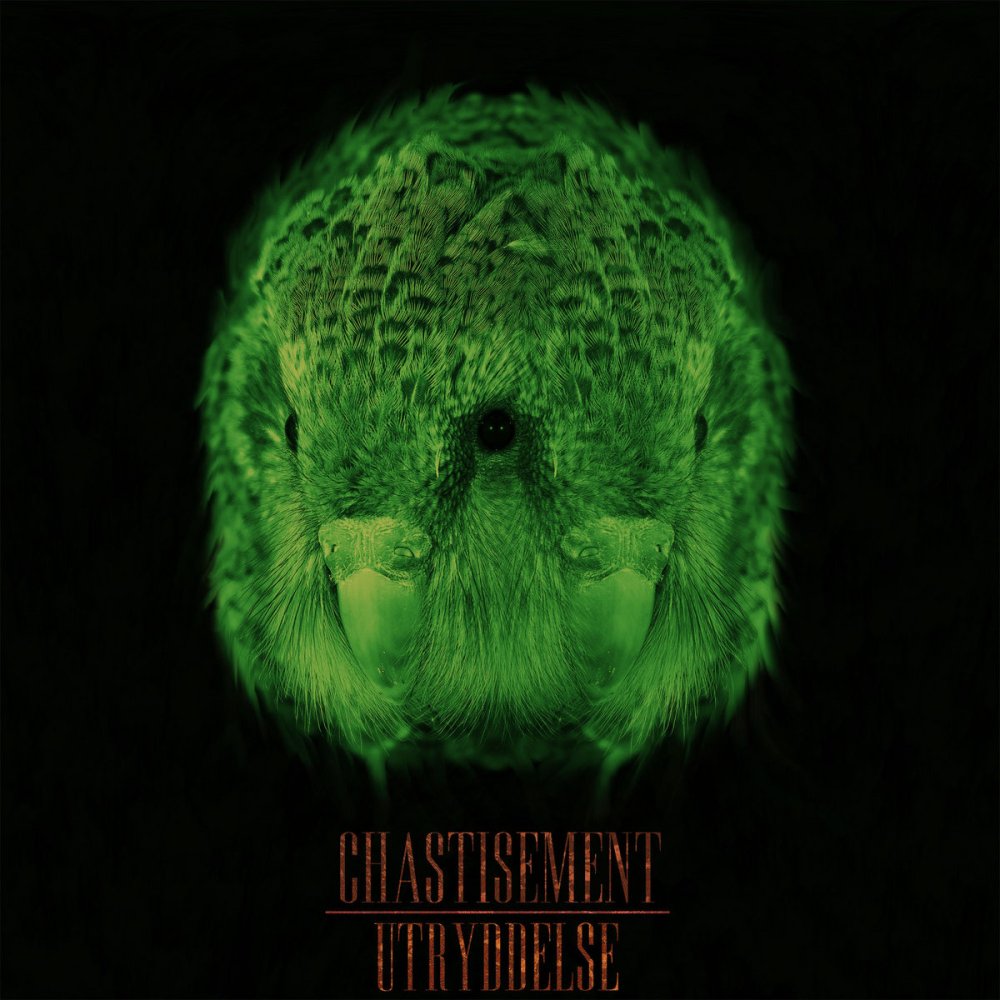 Chastisement