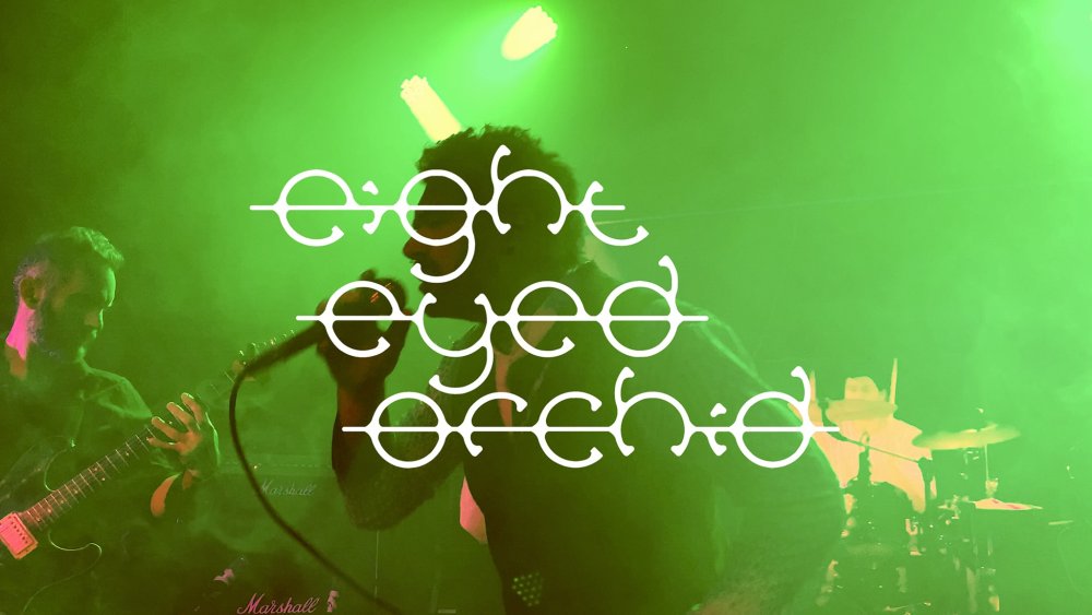 Eight Eyed Orchid
