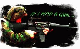 If I Had A Gun