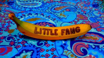 Little Fang