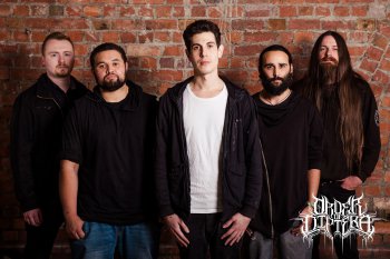 Order Of Diptera
