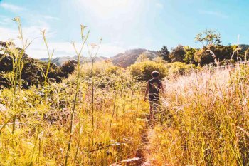 The Secret Place
