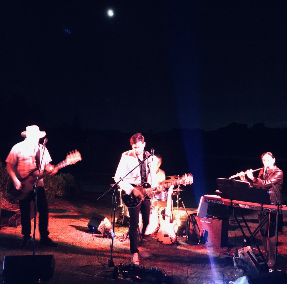 The Velvet Suns