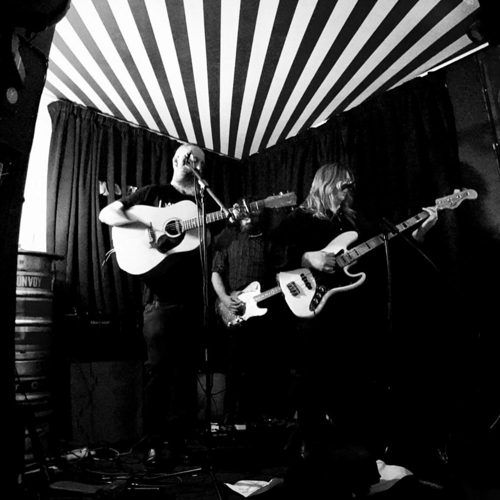 The Waxeyes