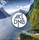 New Zealand Drum & Bass Mega Playlist