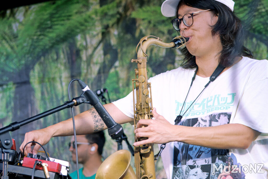 Chaii @ Music in the parks, Auckland, Milfort Beach Reserve