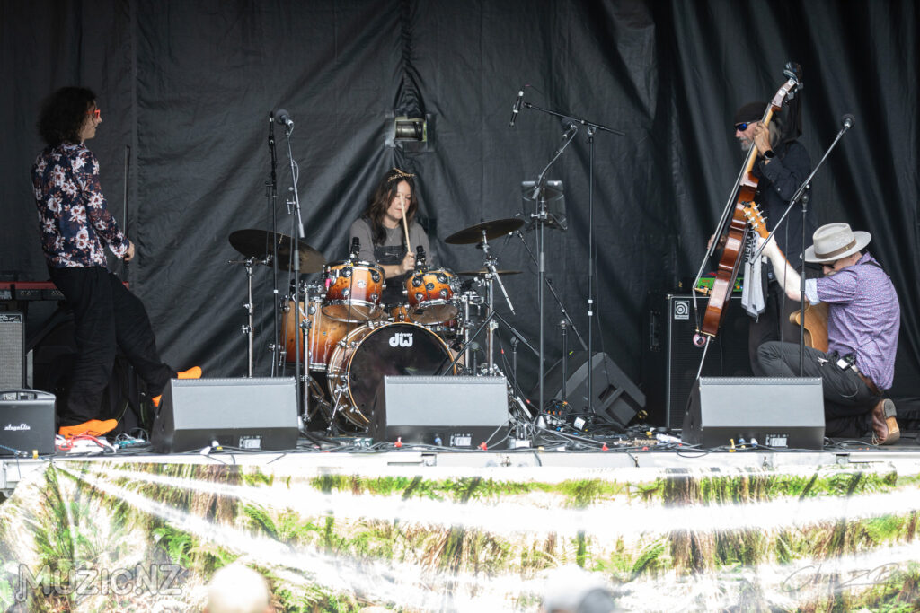 Albi & The Wolves