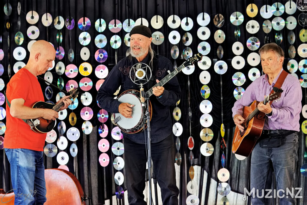 Auckland Blue grass club