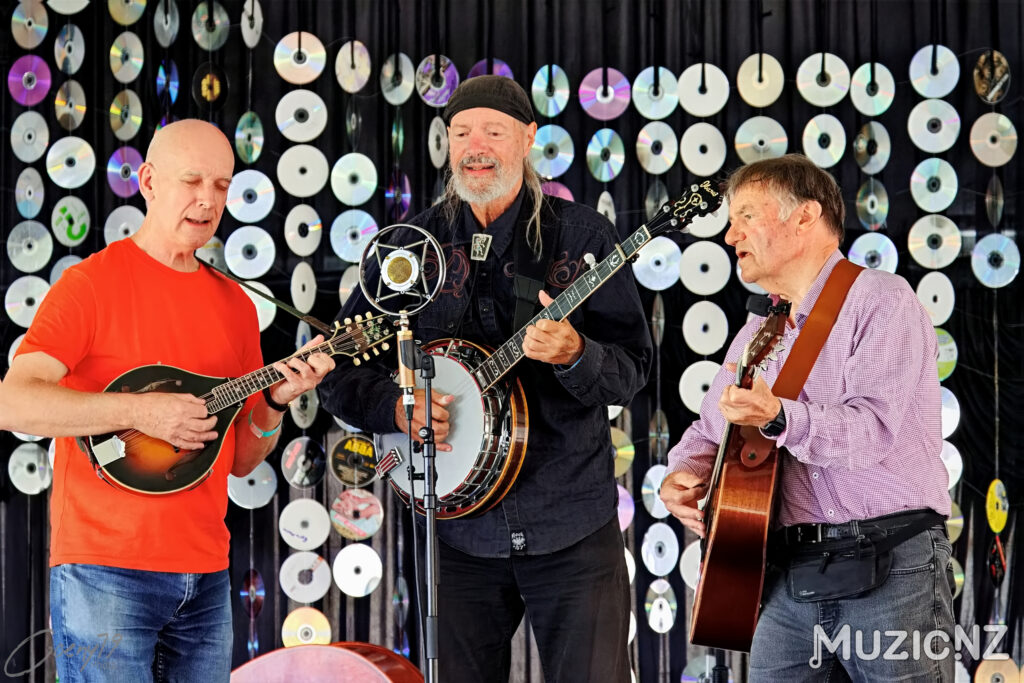 Auckland Blue grass club