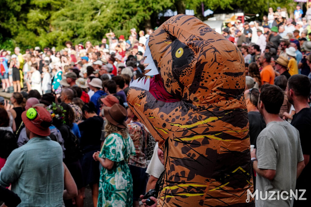 WOMAD Audience