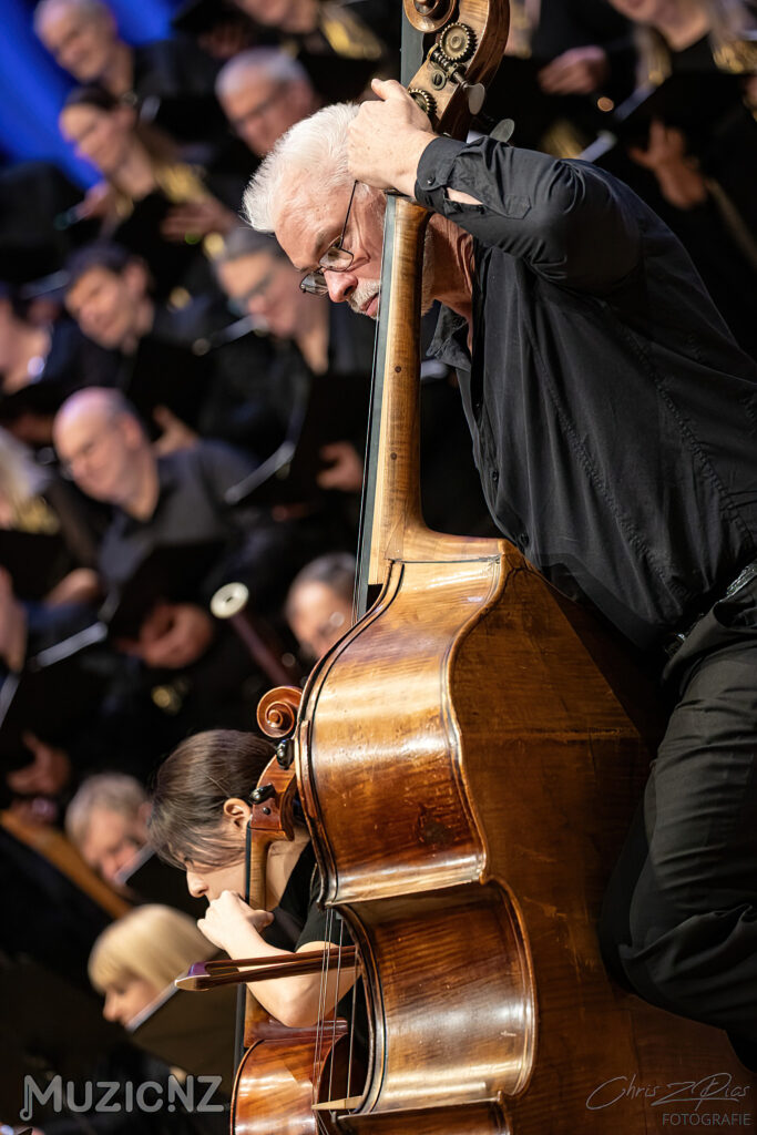 Bach musica nz