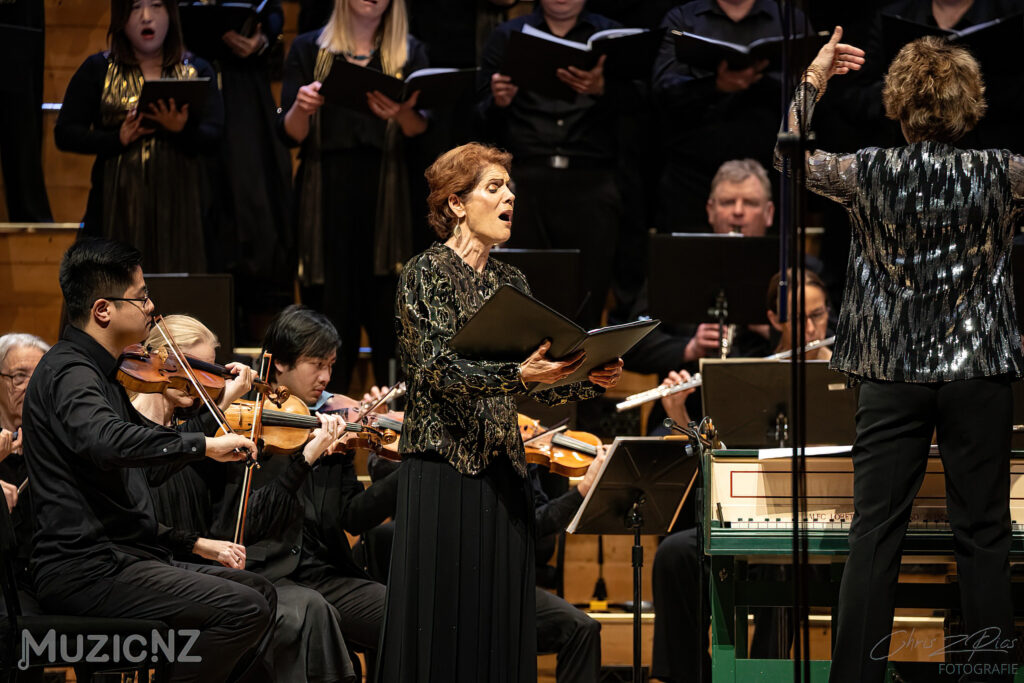 Bach musica nz