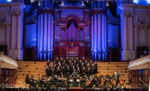 Bach musica nz