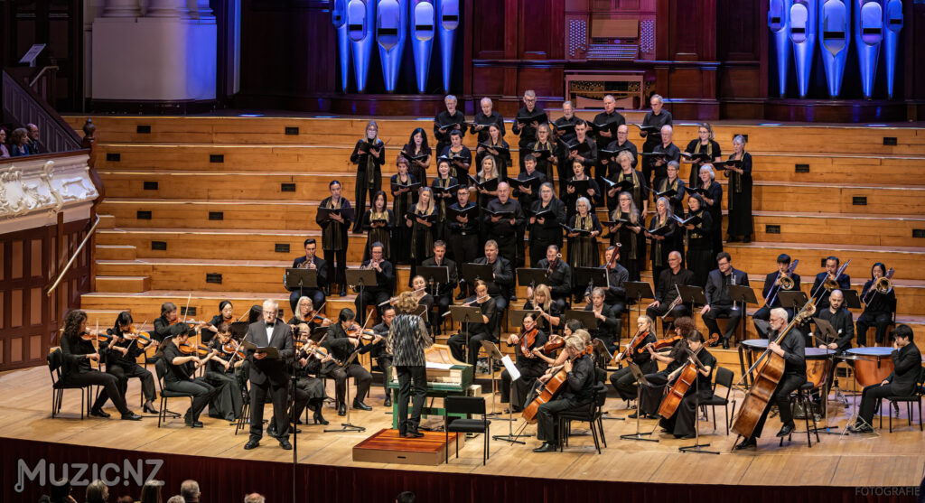 Bach musica nz