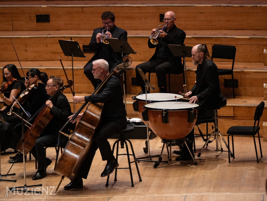Bach muzica nz