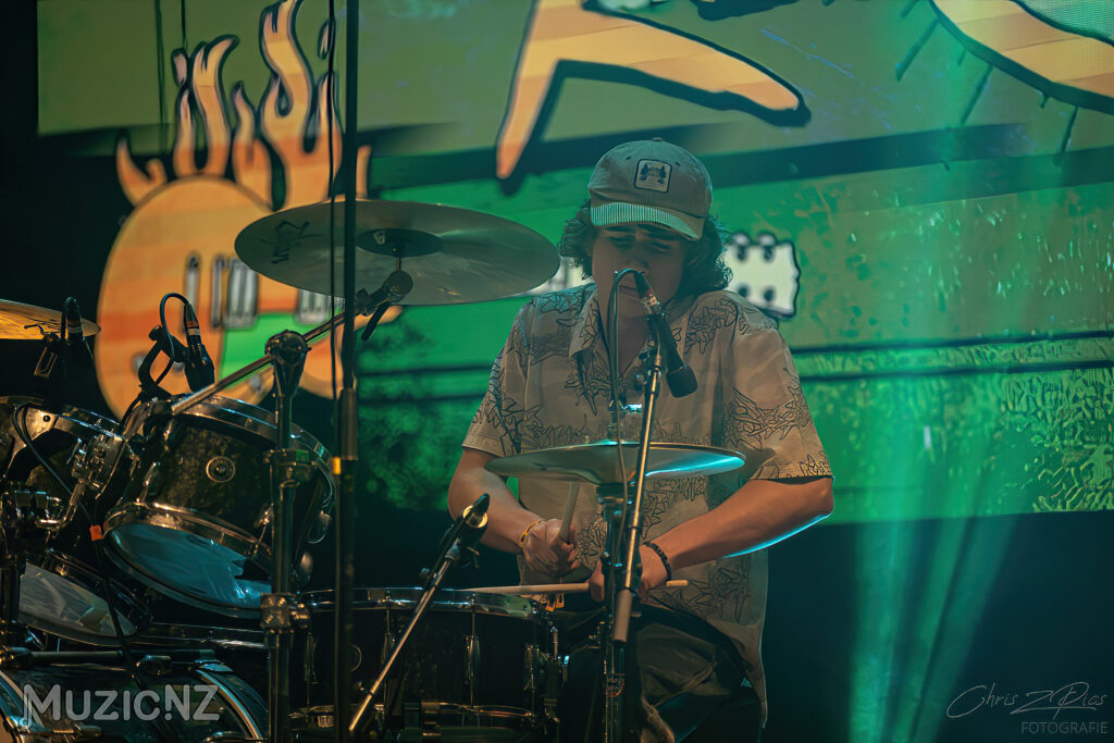 Deaf racoon