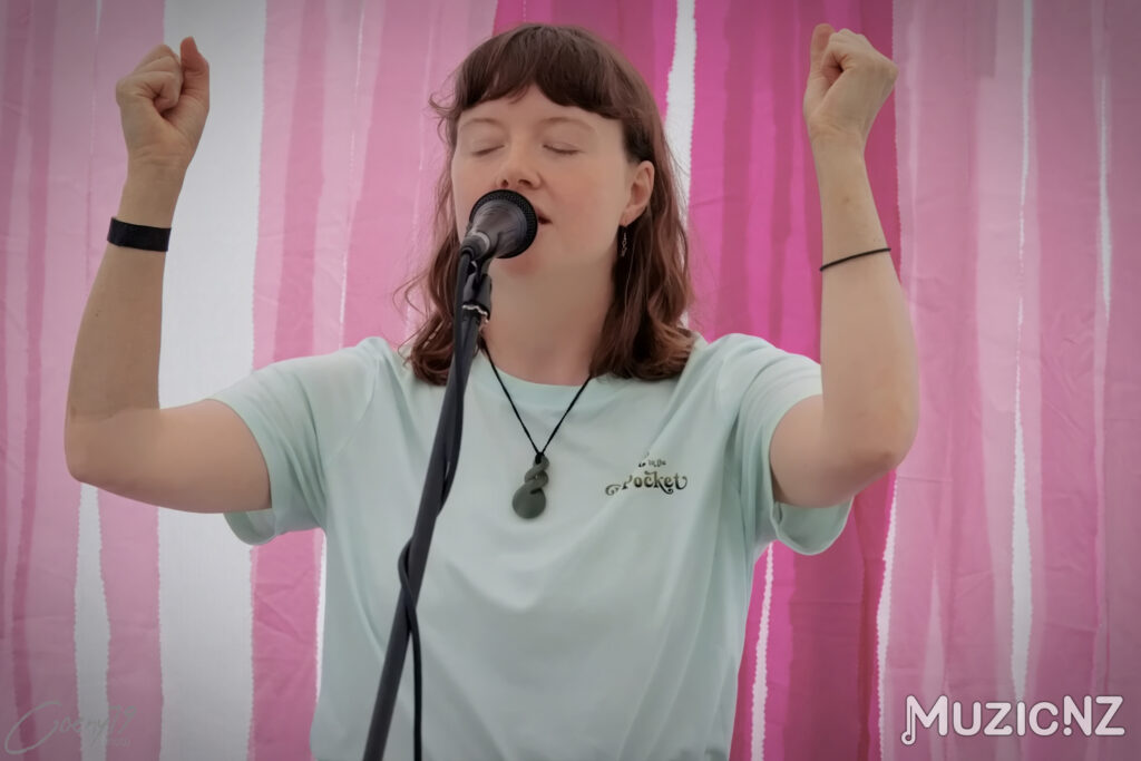 Parrot in the pocket