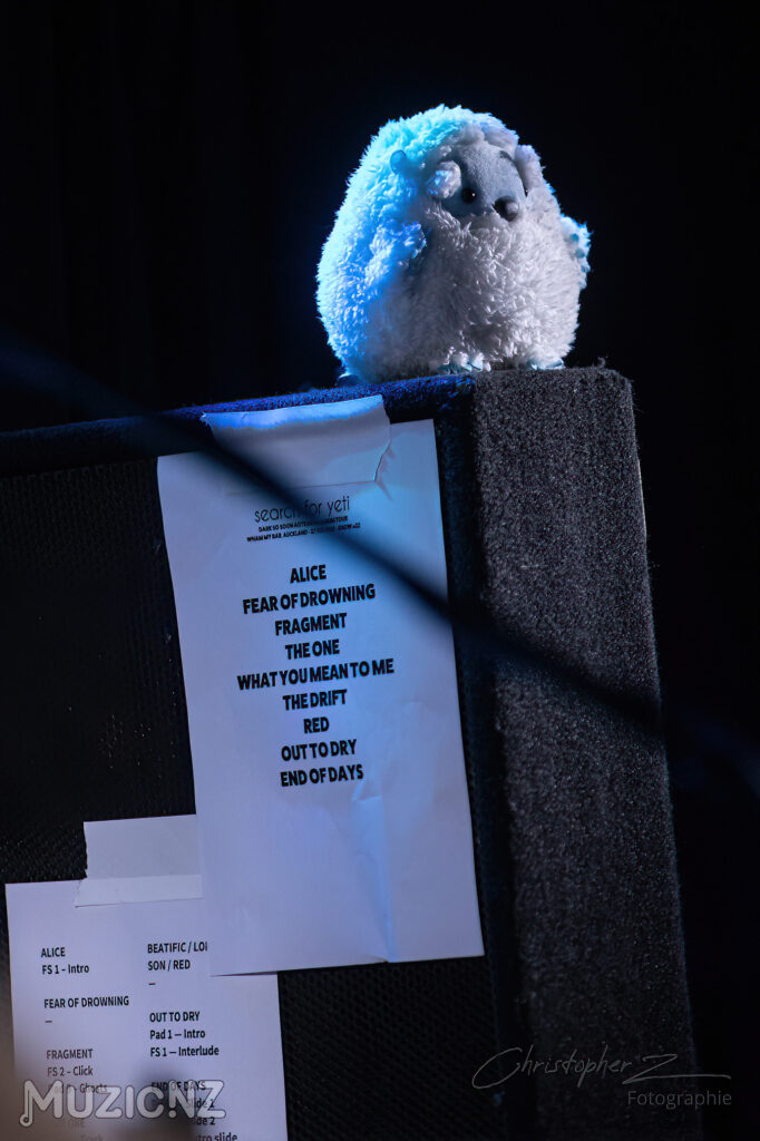 Search for yeti