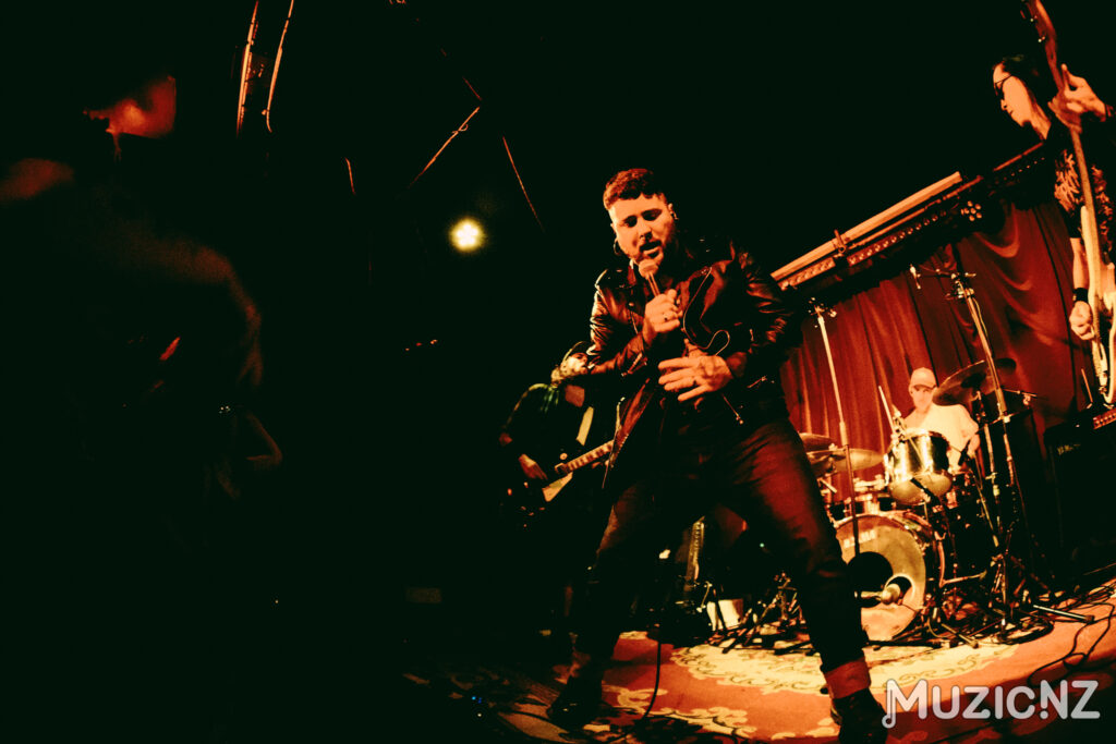 Stray Dogs Dougspace 3.0