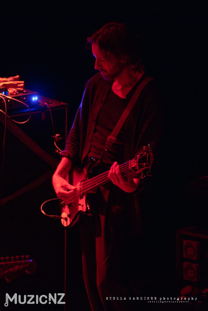 The Veils