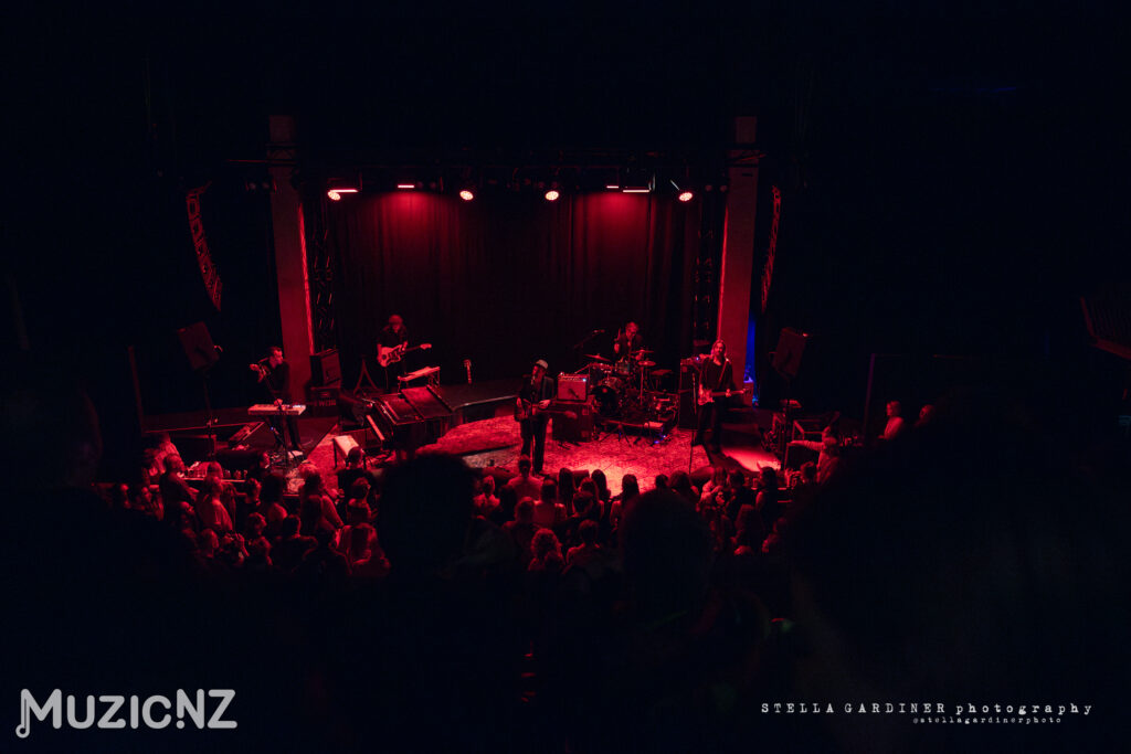 The Veils