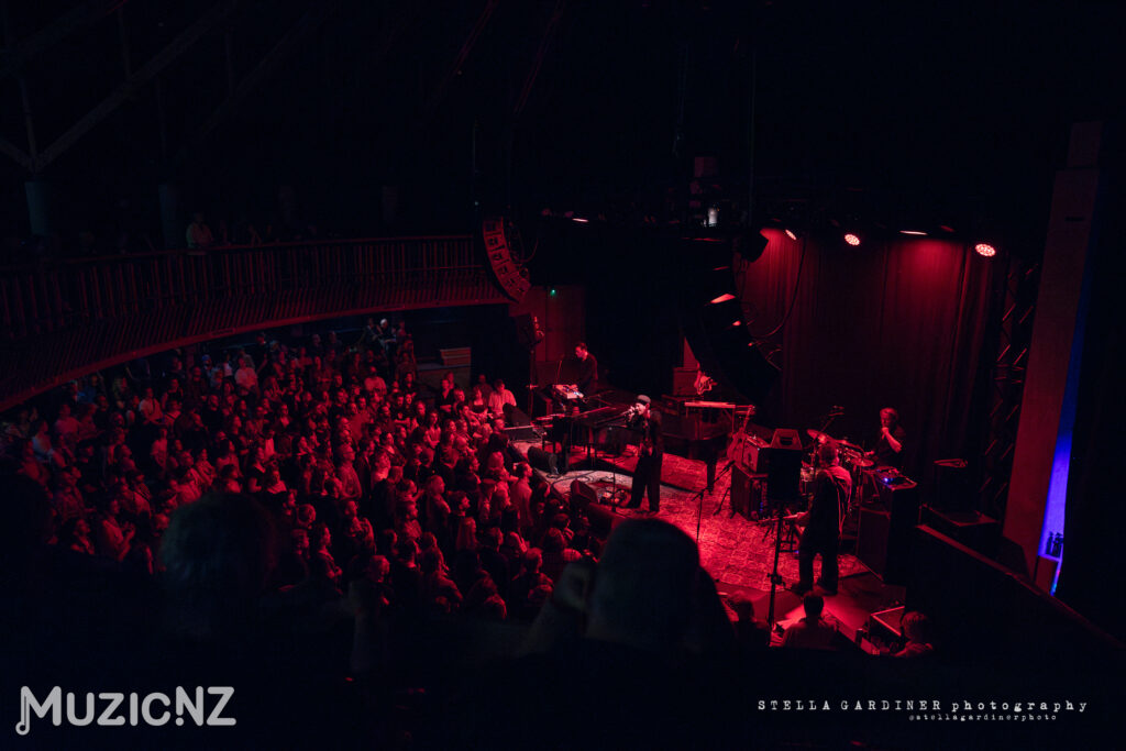The Veils