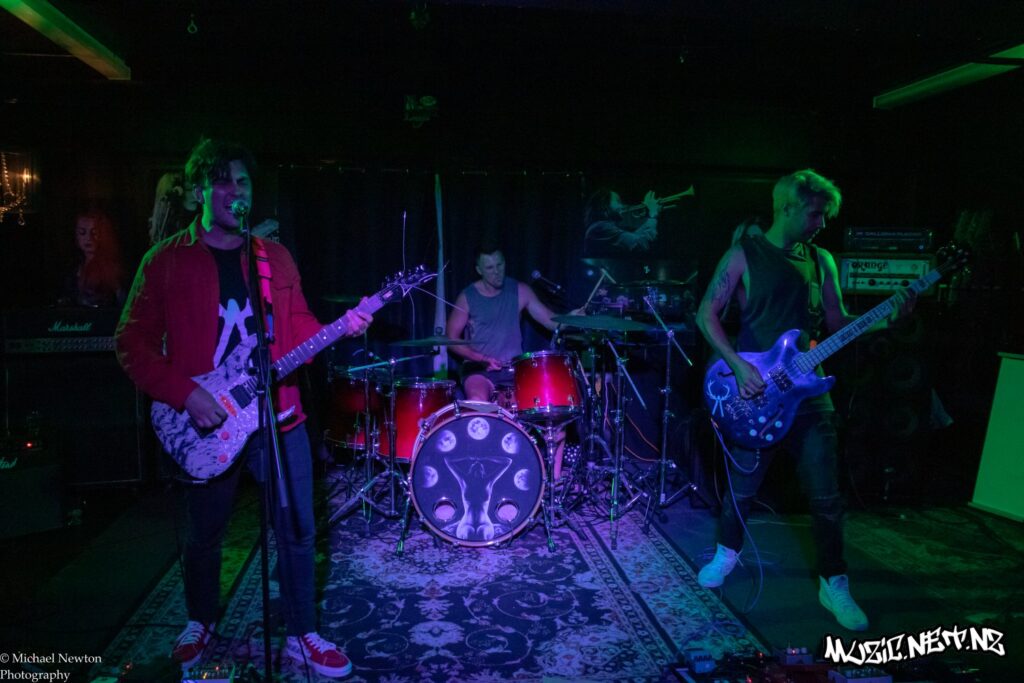 Animalhead @ Nivara Lounge, Hamilton 30/11/2018