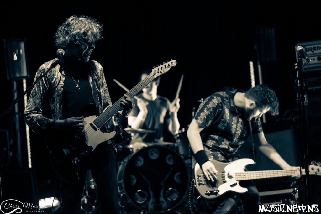Bearhat @ Galatos, Auckland 22/02/2019