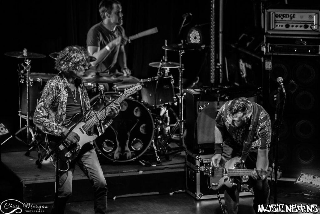 Bearhat @ Galatos, Auckland 22/02/2019