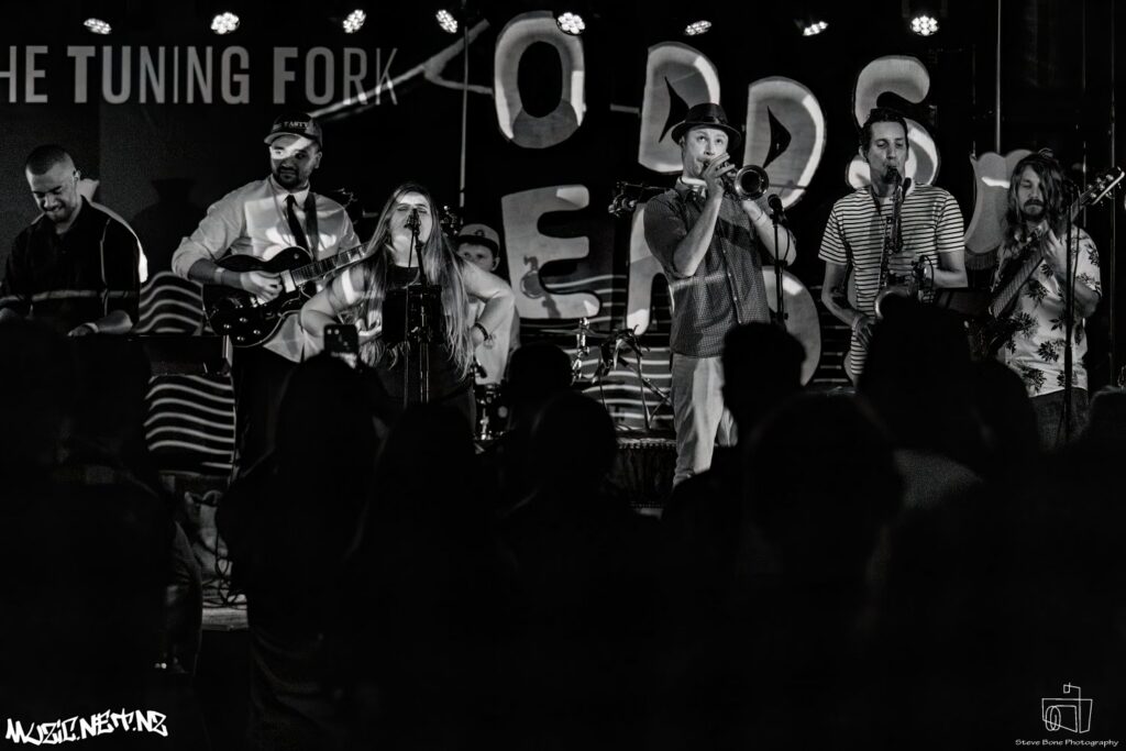 Big Tasty @ The Tuning Fork, Auckland 19/11/2022