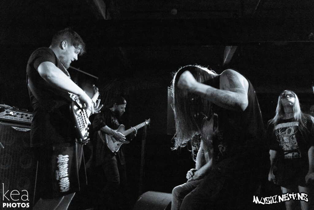Blindfolded And Led To The Woods @ Dive, Dunedin 08/01/2022