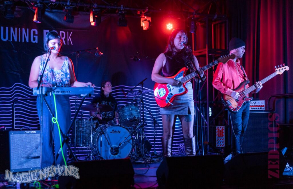 Bub @ The Tuning Fork, Auckland 08/04/2022