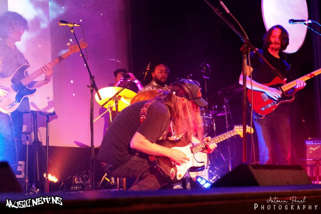 Congress Of Animals @ Hollywood, Avondale Akld 30/11/2018