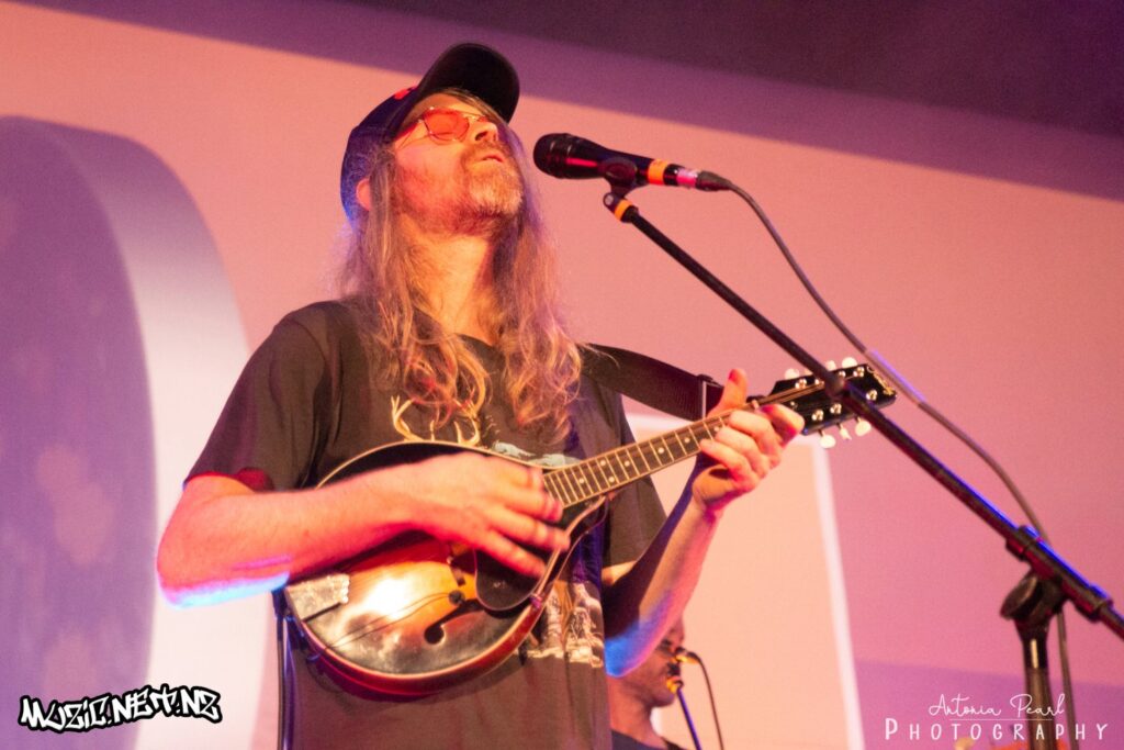 Congress Of Animals @ Hollywood, Avondale Akld 30/11/2018