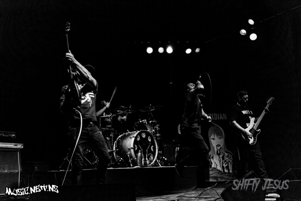 Coridian @ Totara Street, Mount Manganui 2/11/2018