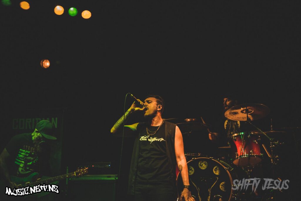 Coridian @ Totara Street, Mount Manganui 2/11/2018