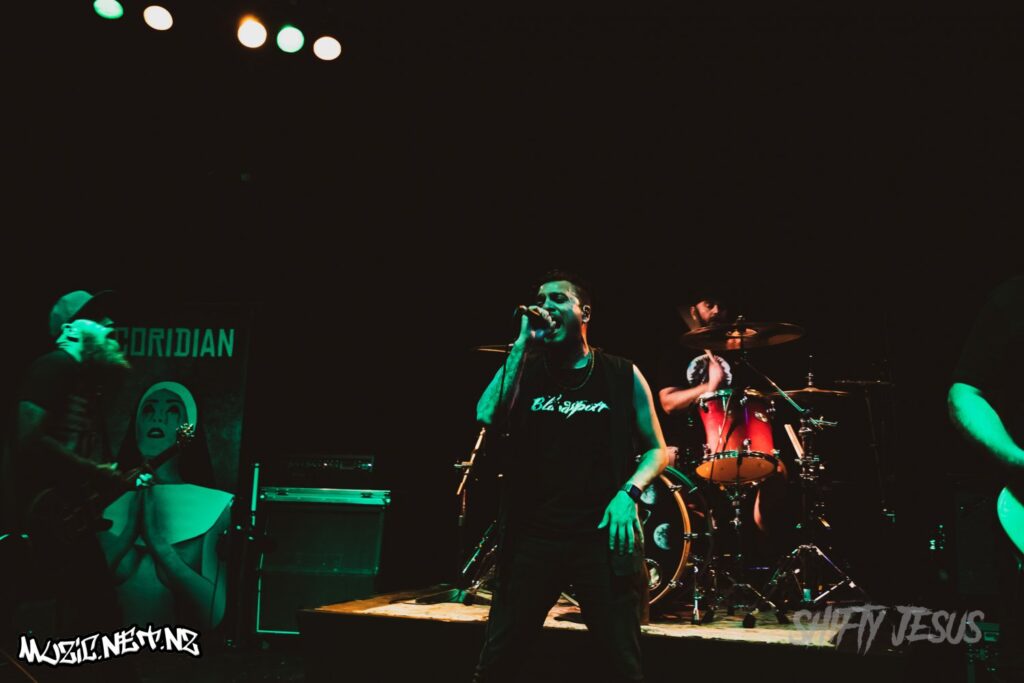 Coridian @ Totara Street, Mount Manganui 2/11/2018