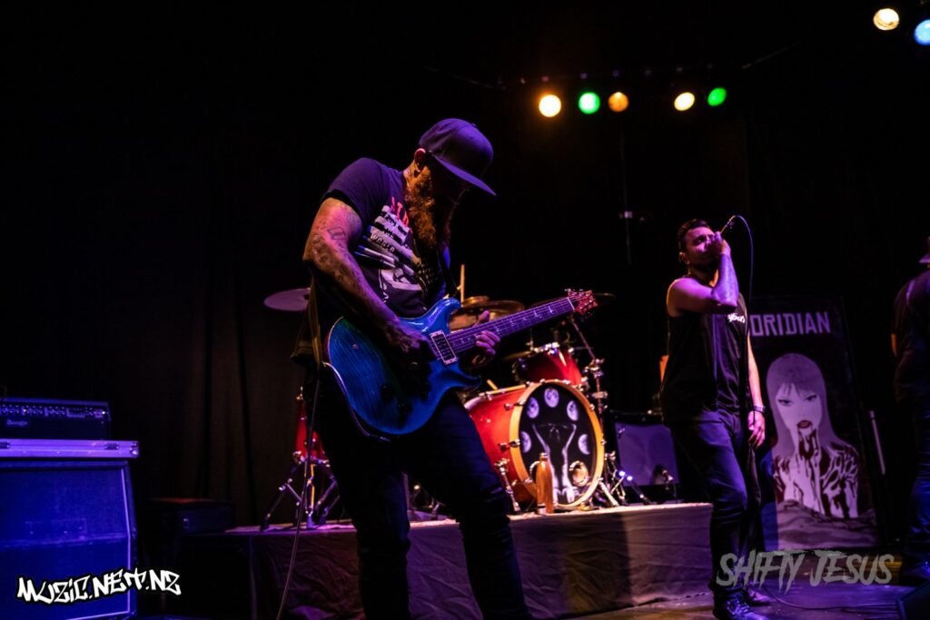 Coridian @ Totara Street, Mount Manganui 2/11/2018