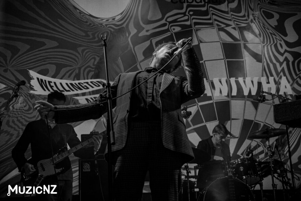 Cubadupa @ Cuba Street Precinct, Wellington 25 26 March 2023