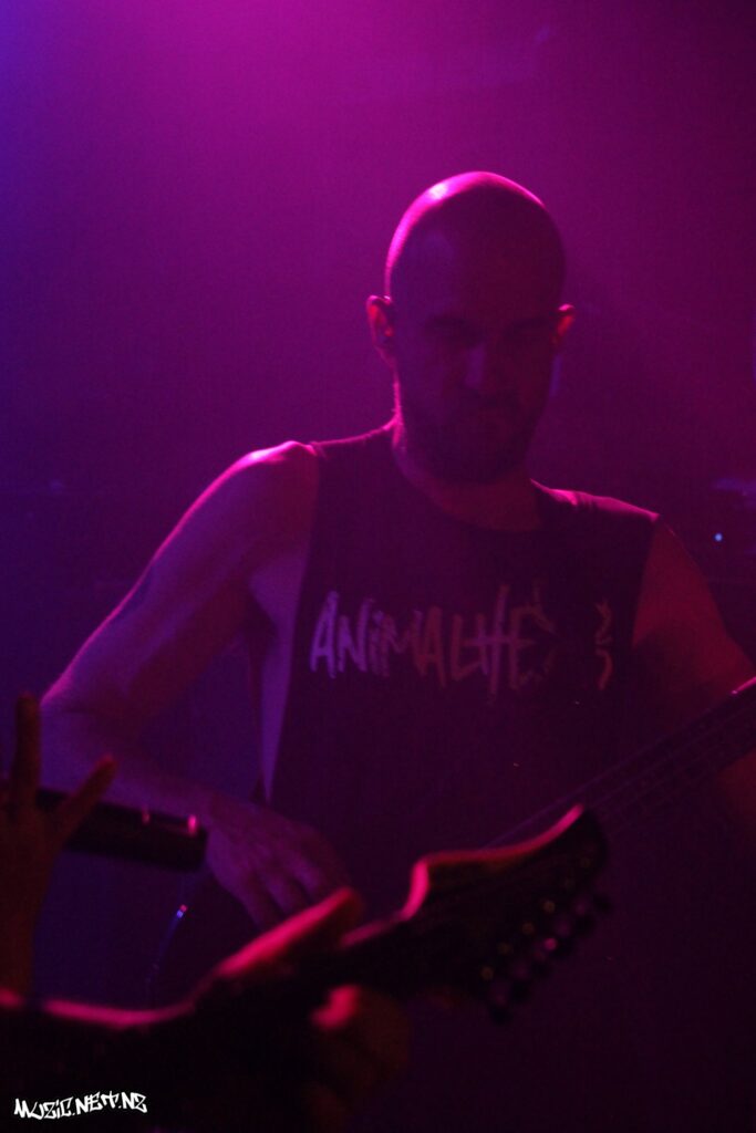 Curly Jewels @ Valhalla, Wellington 12/11/2022