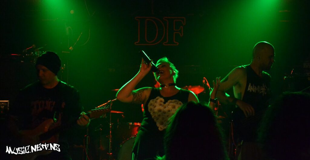 Curly Jewels @ Valhalla, Wellington 12/11/2022