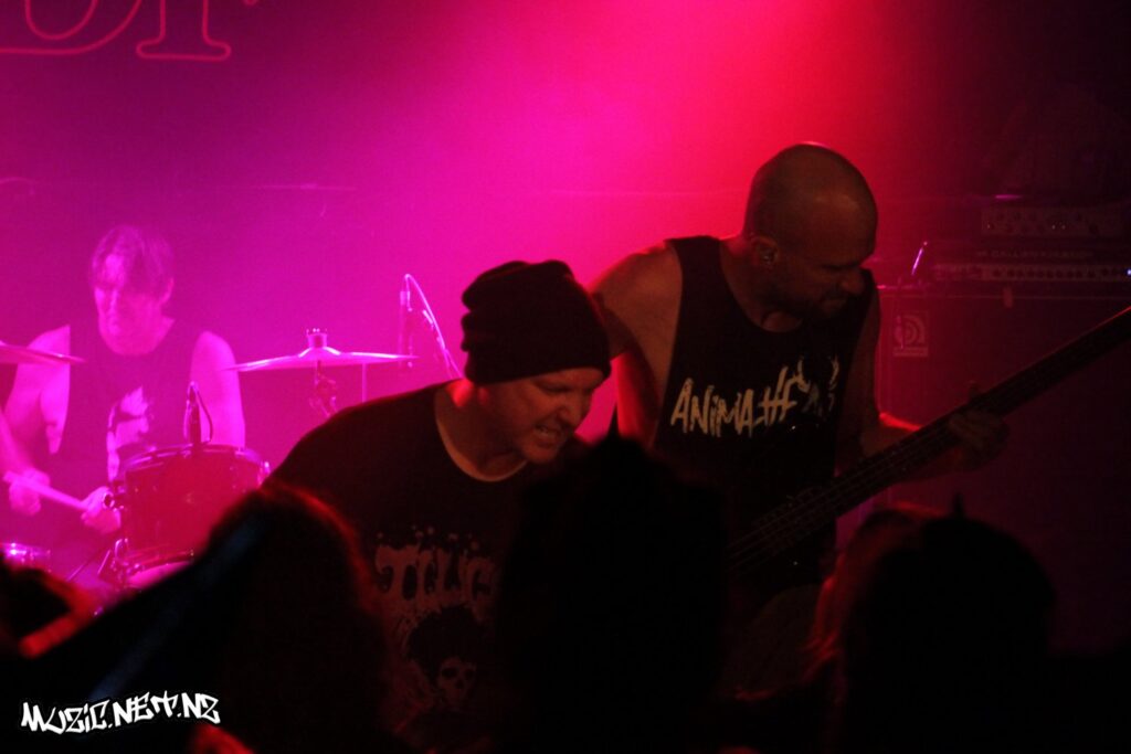 Curly Jewels @ Valhalla, Wellington 12/11/2022
