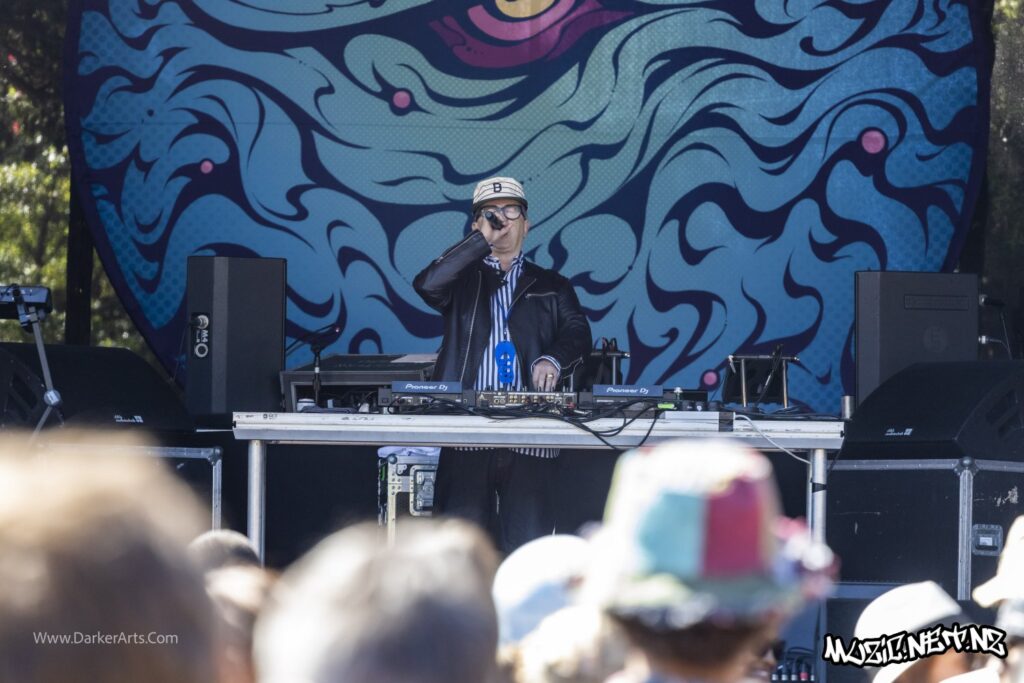 David Rodigan @ Williams Park, Wellington 20/01/2020