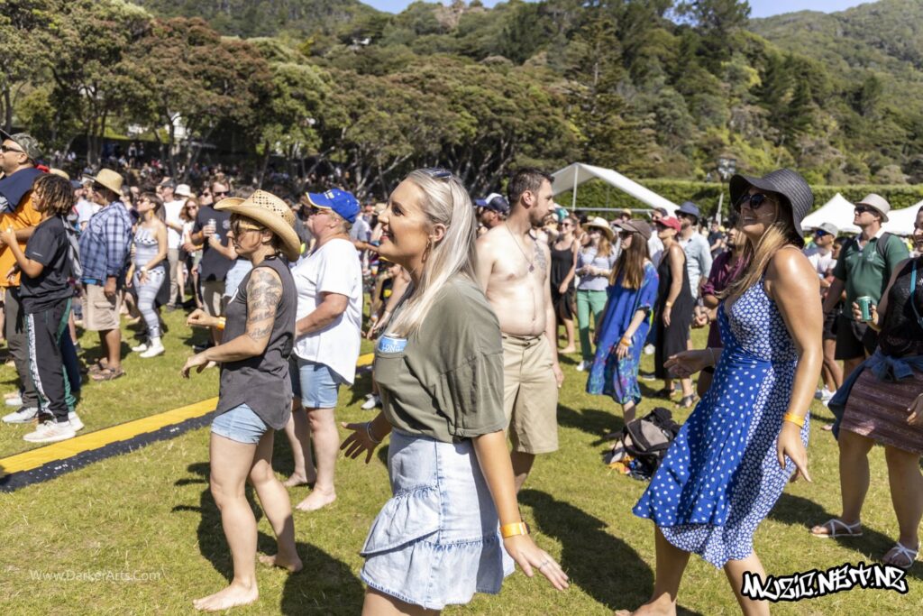 David Rodigan @ Williams Park, Wellington 20/01/2020