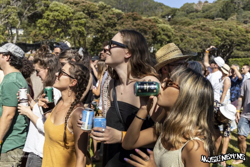 David Rodigan @ Williams Park, Wellington 20/01/2020