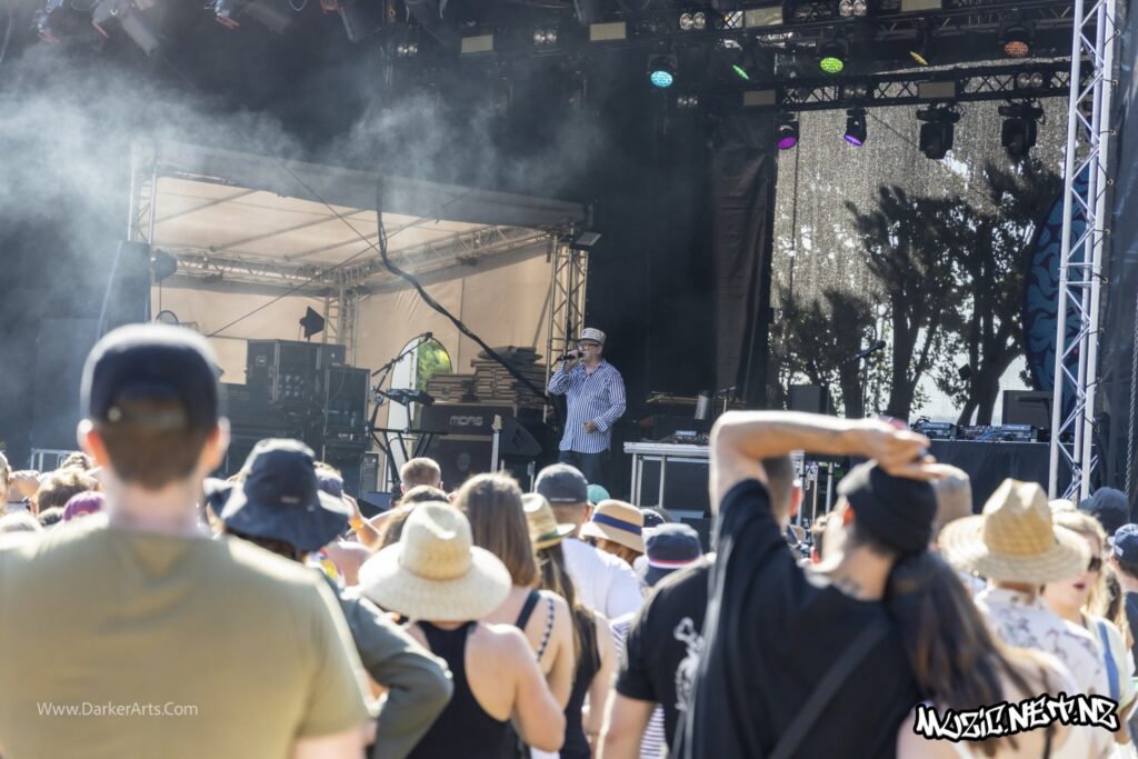 David Rodigan @ Williams Park, Wellington 20/01/2020