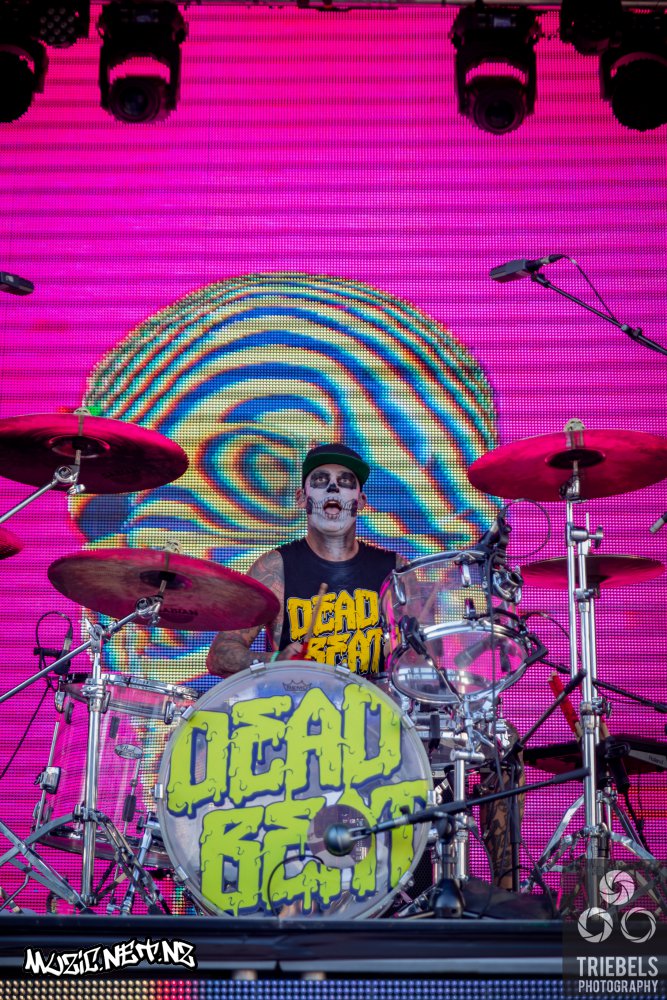 Deadbeat @ Homegrown 2021, Wellington Waterfront 20/03/2021