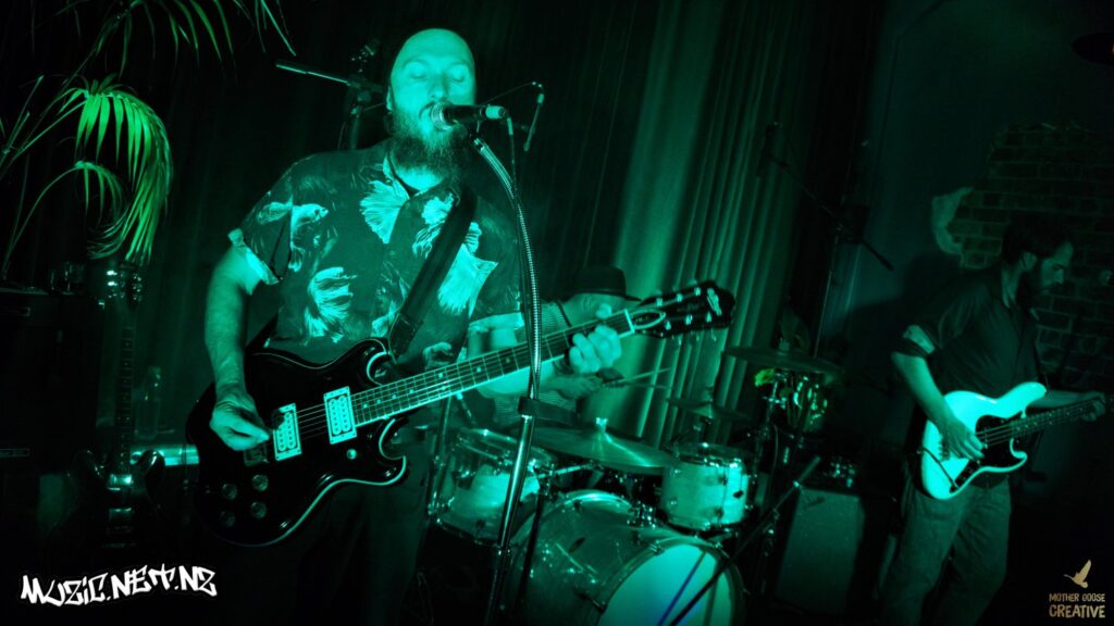 Devils Elbow W/ Music Dog + Sarah Wiig @ Common Room, Hastings 17/04/2021