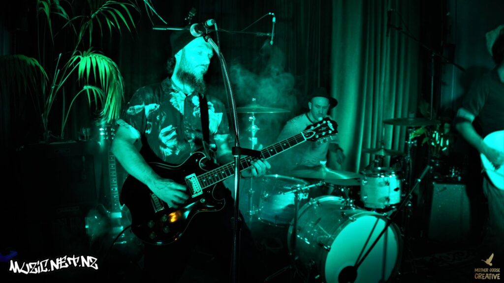 Devils Elbow W/ Music Dog + Sarah Wiig @ Common Room, Hastings 17/04/2021